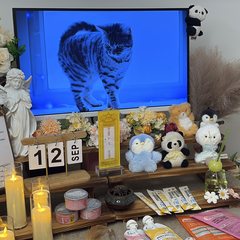 宠物家长客户见证