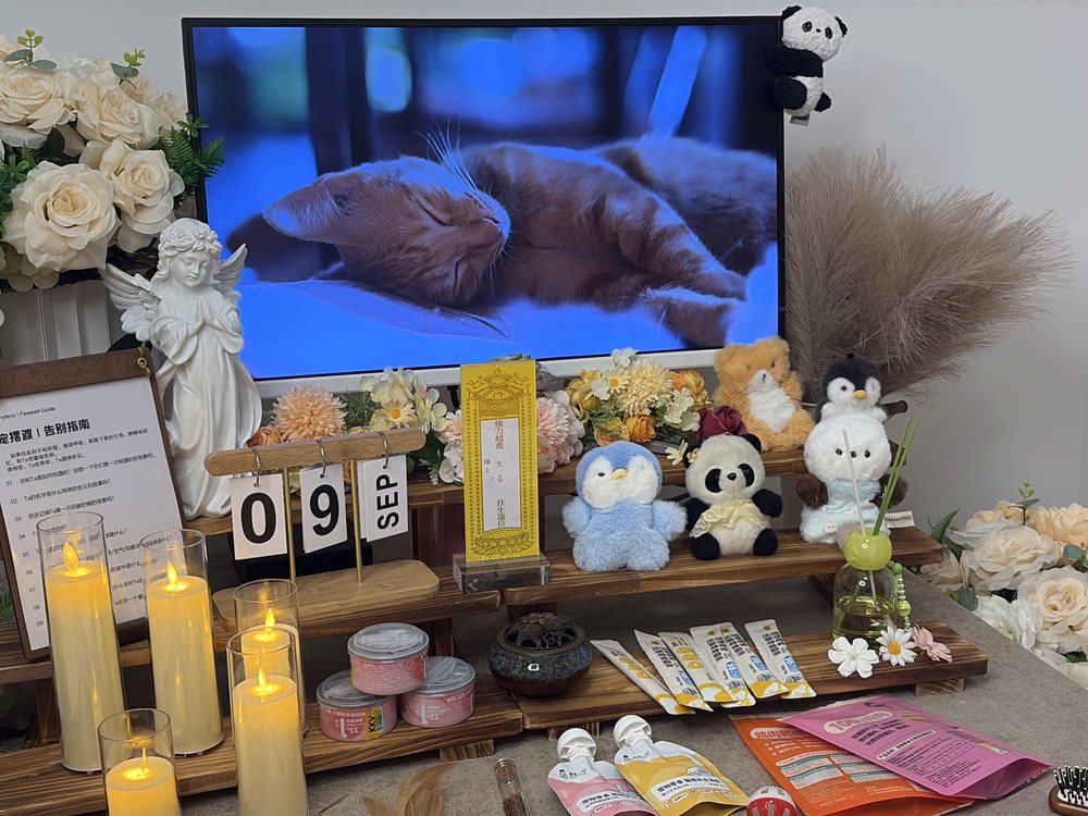 宠物告别仪式现场布置